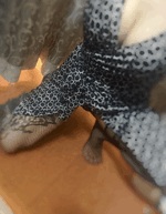 まひろ