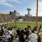 夜の試合お願いします！