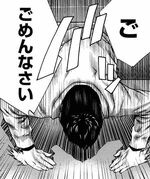 ひなの