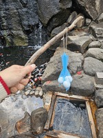 さくら