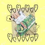 せいか