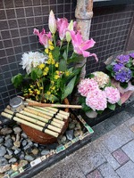 なつめ