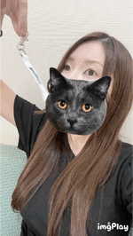 ひまり